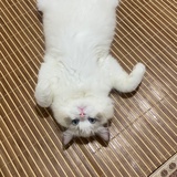 豆友9w4e18i6HM