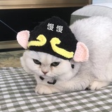 不想上学的吗喽