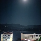 莲叶何田田