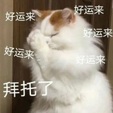 Miakk