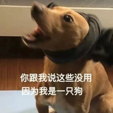 哈巴狗啃月亮