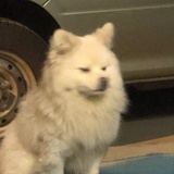 孟孟孟珂