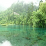 沧桑村夫