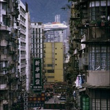 心有猛虎
