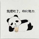我是追光的球球
