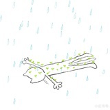 杏不杏