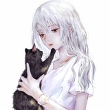 小熊猫吃竹竹