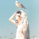 宽厚小星星