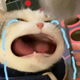 我还活着