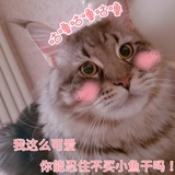 豆友jMlnBsbQEE