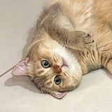小栗子🍒