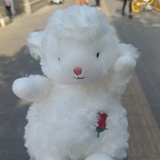 睡觉真好啊