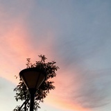 秋山