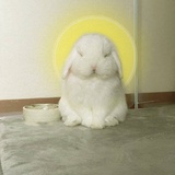 我佛不渡哈批