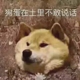 一定行