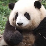 酱油铺里卖毛裤