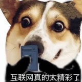 123456