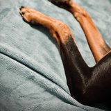 一天就讲一个字