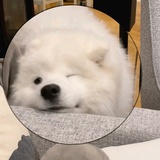 西红柿打卤面