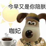麻瓜是谁不是我