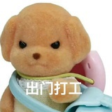 修狗来我怀里