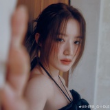 TF家族—叶舒华