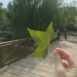 豆友agKsGkIgGI