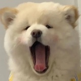 豆友k5mBH_zfFI