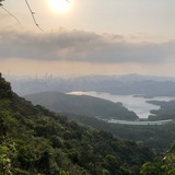 汉都