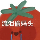 鲨鱼