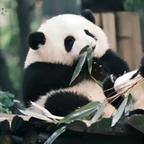 你好你好你好