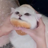 我是社恐