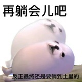 maomao