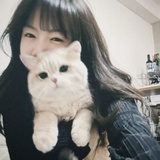 mimi