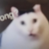 豆友-9WLjjtuf8