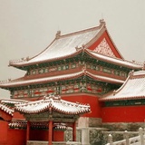 lily李