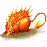火焰鼠🔥🐭
