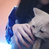 灵希