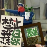 L.M刘某