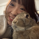 jody猫