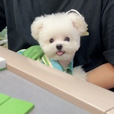 同心圆月亮
