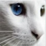 Ares