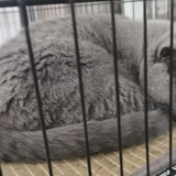 二月有钱花