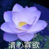 顶流（已飞升）