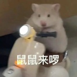 豆瓣豆瓣酱