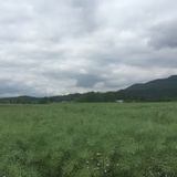 豆友h_DrU5Za6s