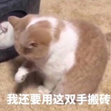 豆友nVDIxK2urc