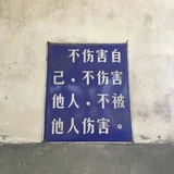 张玉洁