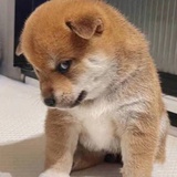 我爱螺蛳粉