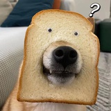 一个大西瓜